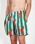 Costume righe Lobster Berna Uomo Art. BERNA M 261340