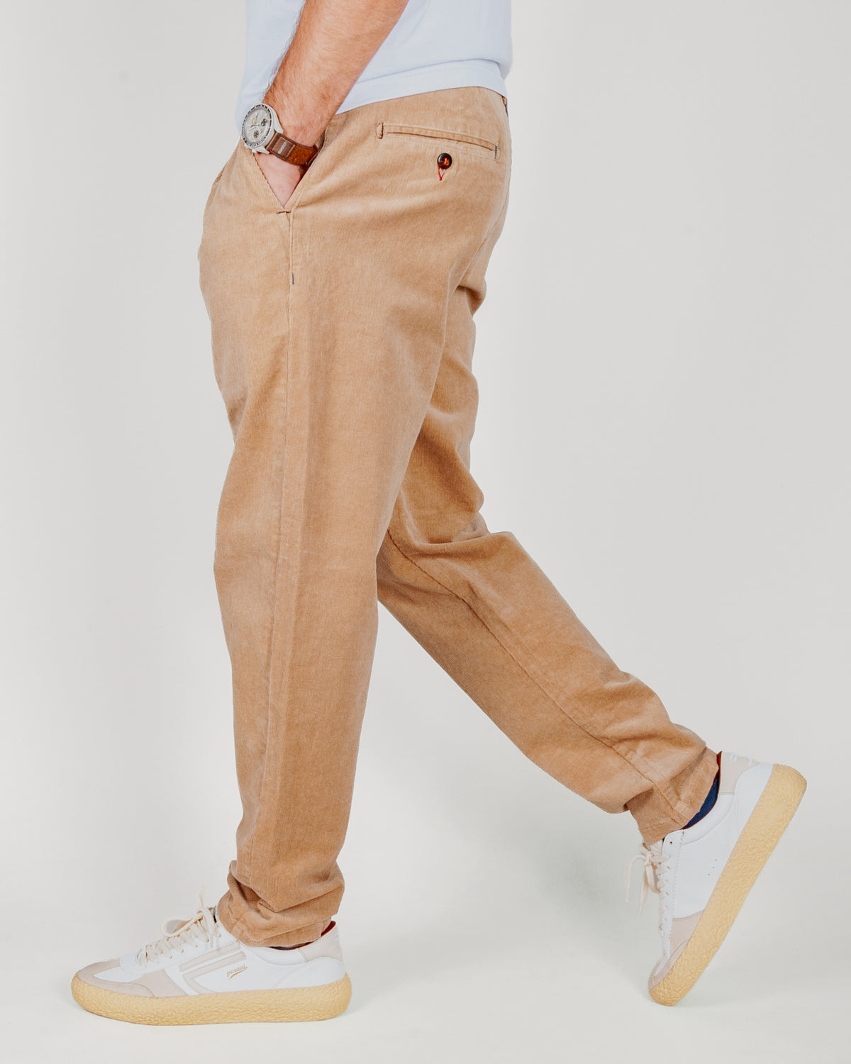 Pantalaccio Velluto Berna Art. BERNA M 262311