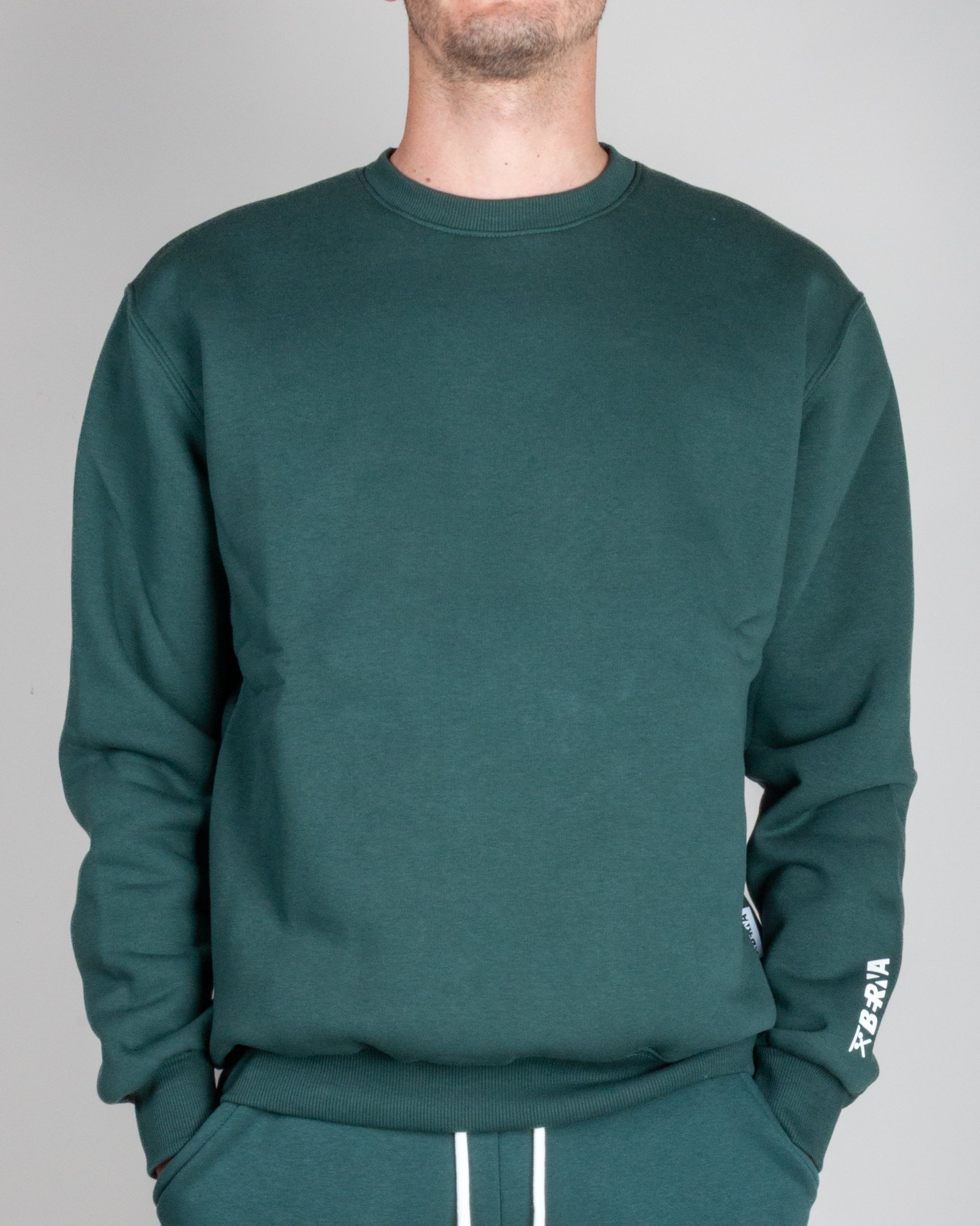 Felpa girocollo Berna Art. BRN M 252020