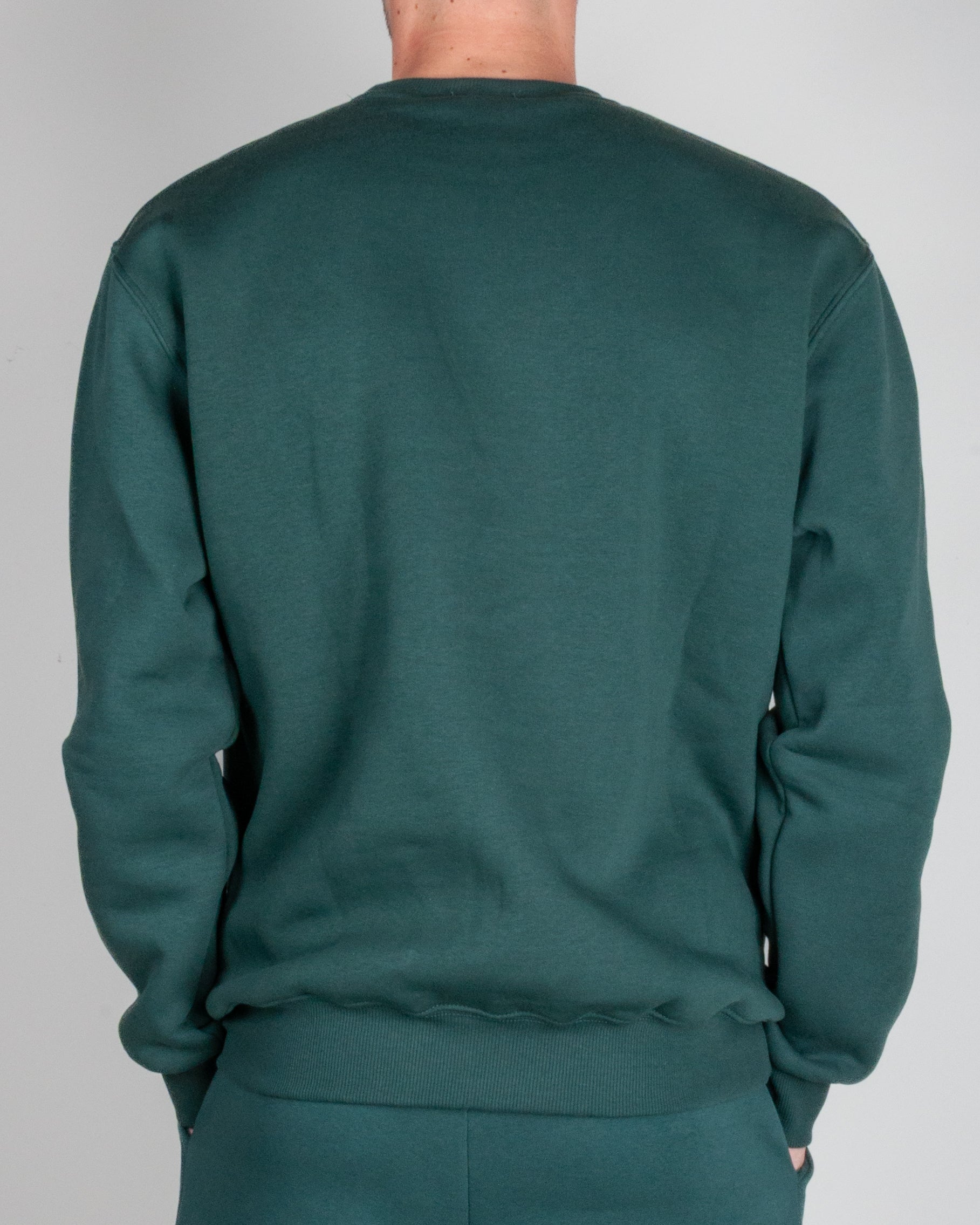 Felpa girocollo Berna Art. BRN M 252020